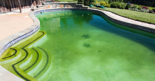 backyard pool with severe algae growth